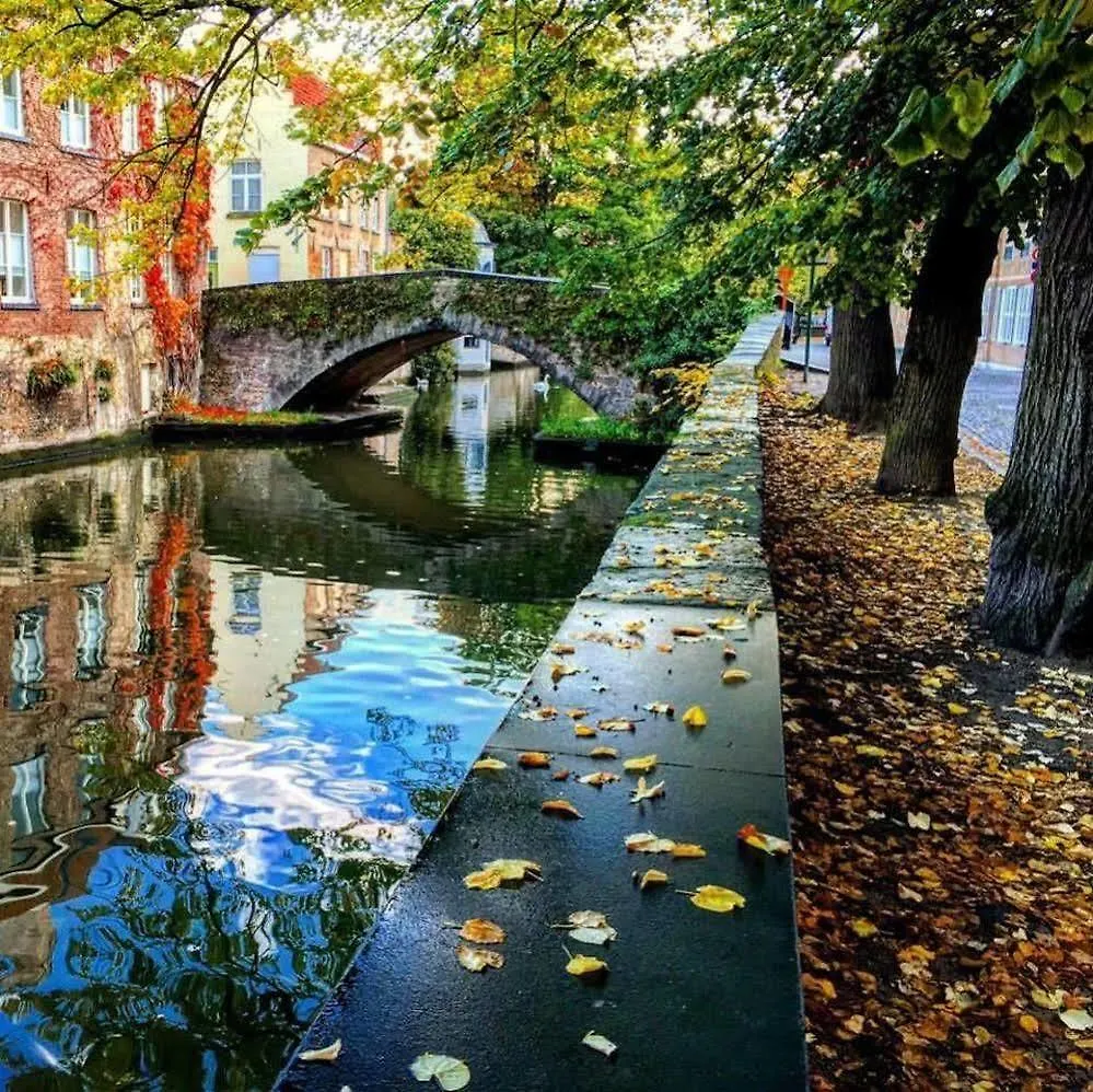 Daire Guesthouse Dijver - Serene Escape In The Heart Of Historic Brugge Belçika